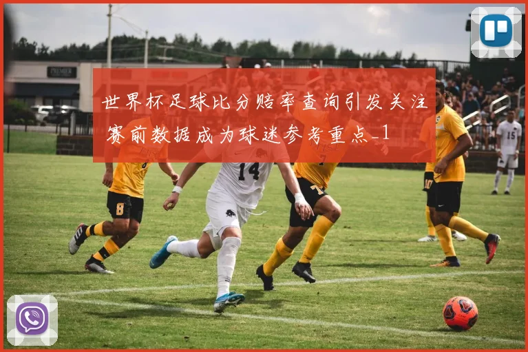 世界杯足球比分赔率查询引发关注 赛前数据成为球迷参考重点_1
